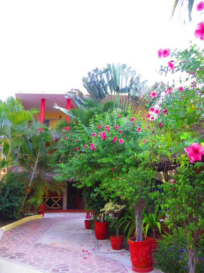 La Cruz Inn La Cruz de Huanacaxtle Exterior photo